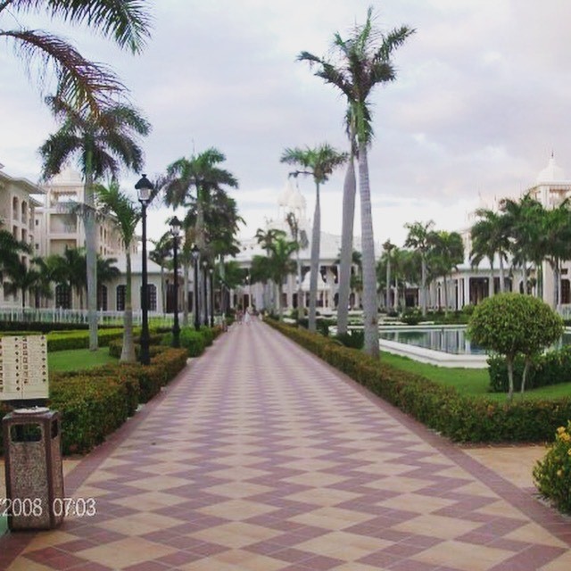 Lugar Hotel Riu Palace Punta Cana