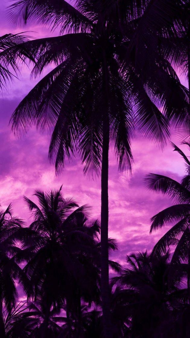 Moda Wallpaper do céu roxo