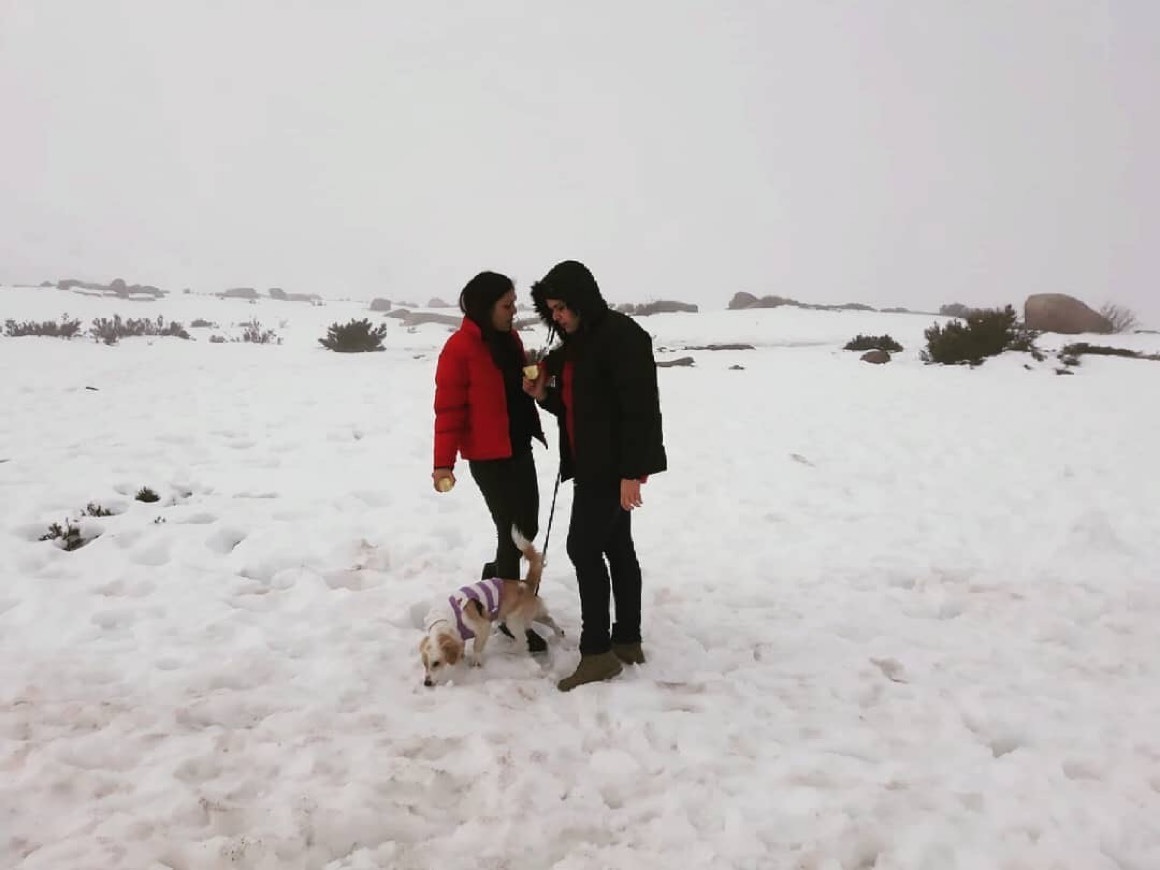 Lugar Serra da Estrela Natural Park