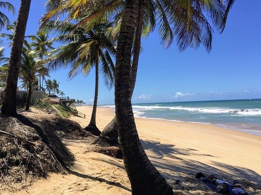 Praia de Enseada dos Corais