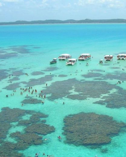 Porto de Galinhas