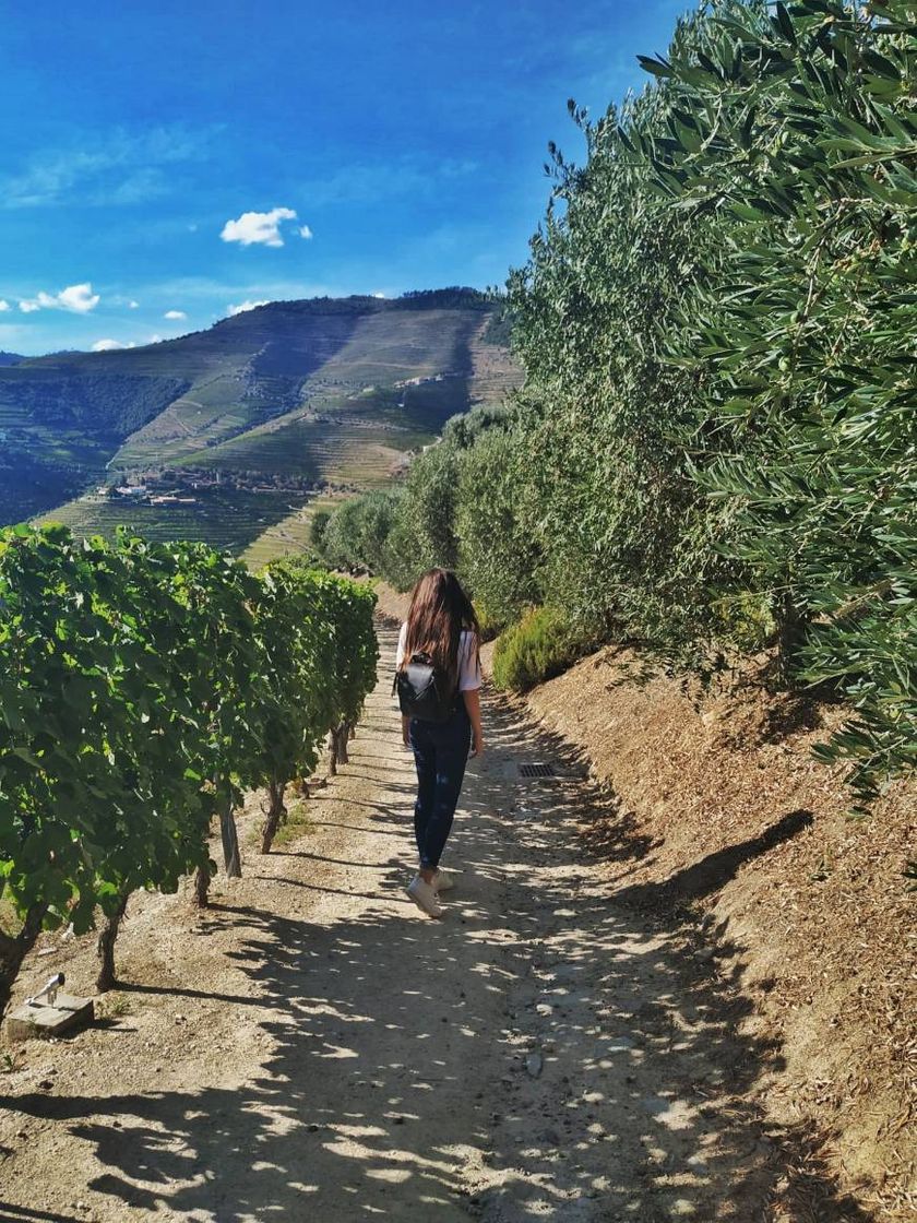 Lugar Quinta do Seixo