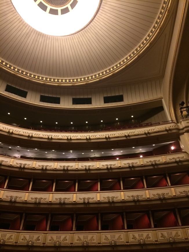 Lugar Vienna Operahouse