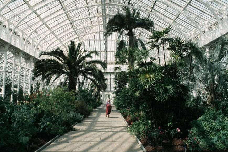 Places Temperate house, kew gardens( United Kingdom )