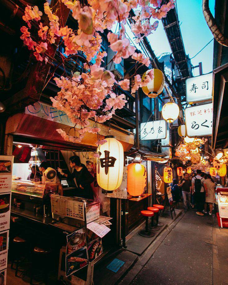 Places Omoide Yokocho, Tóquio, Japão