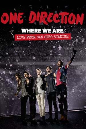 Movie One Direction: Where We Are – La película del concierto