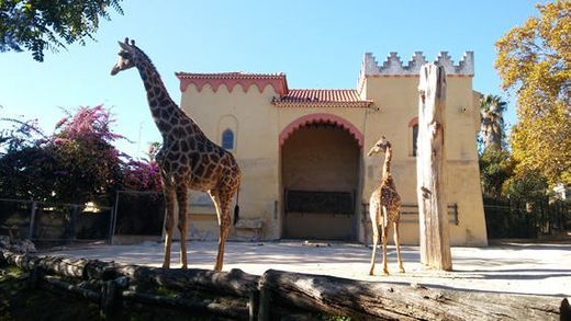 Lugar Jardim Zoológico de Lisboa