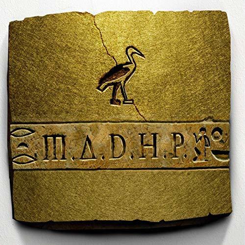 M.A.D.H.P