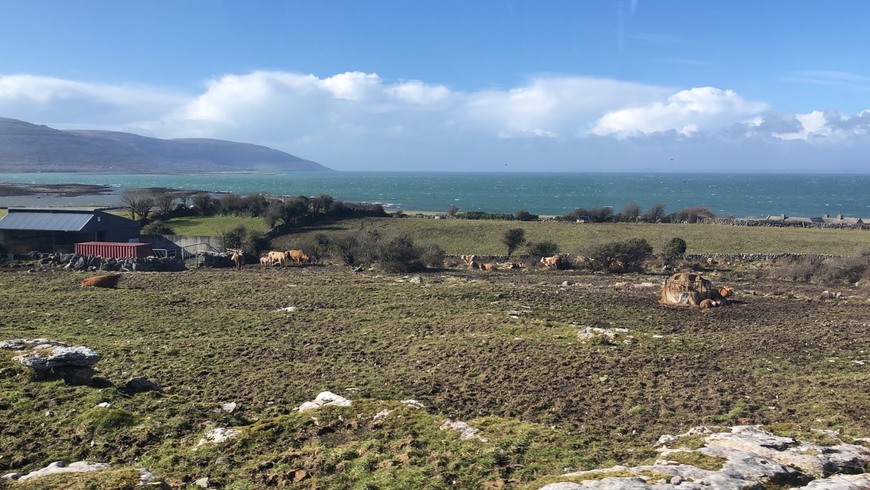 Places Burren