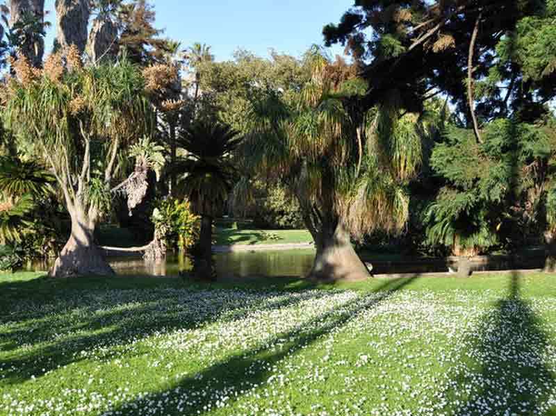 Place Tropical Botanical Garden