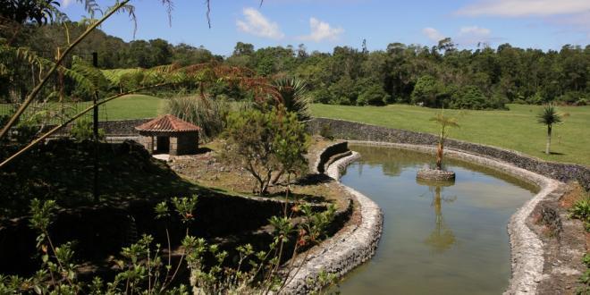 Lugar RESERVA FLORESTAL DE RECREIO DO PINHAL DA PAZ