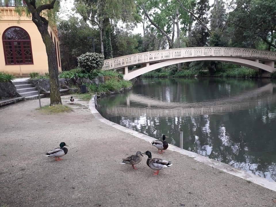 Place Parque Dom Pedro Infante - City Park