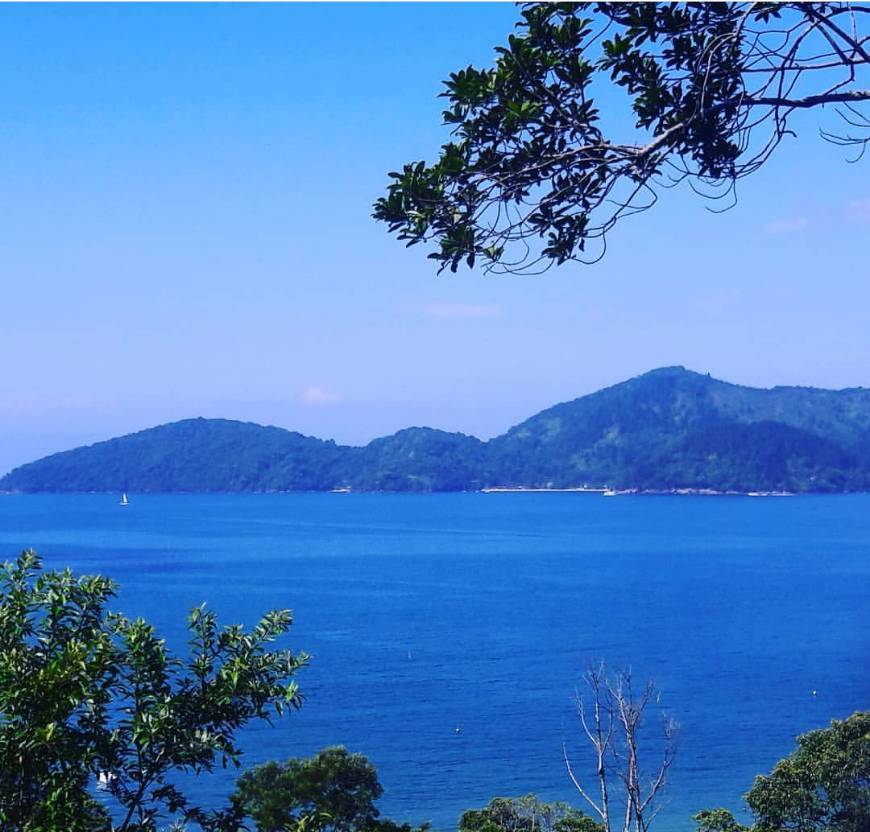 Moda Ilha das couves-ubatuba 😍