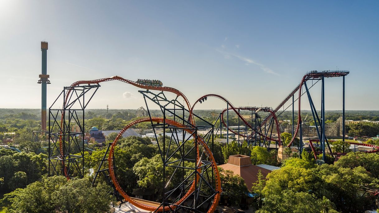 Lugar Busch Gardens Tampa Bay