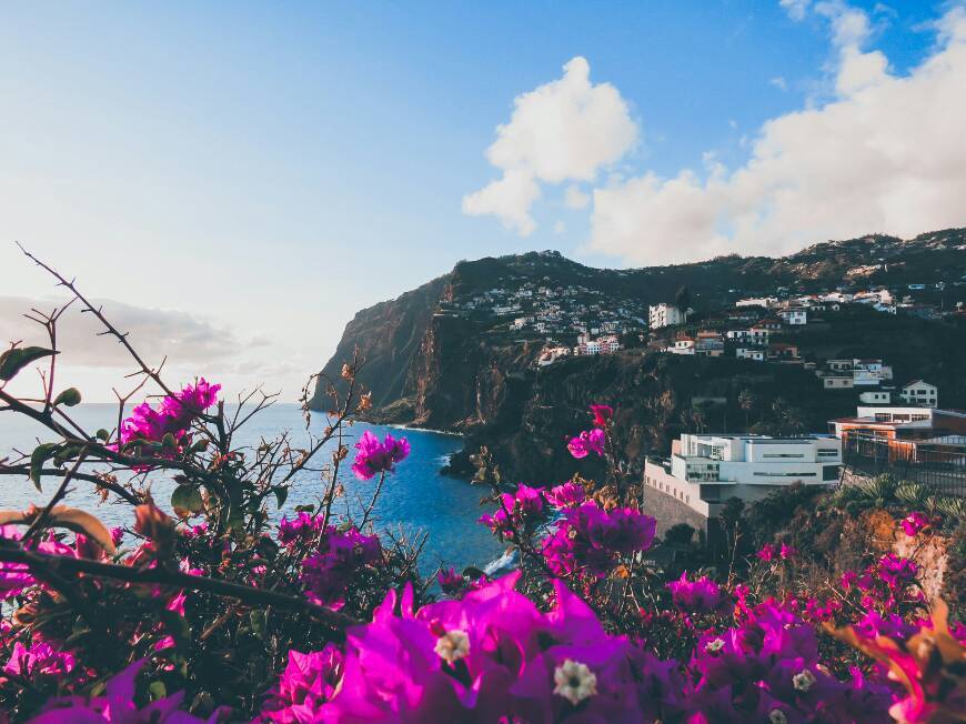 Place Câmara De Lobos