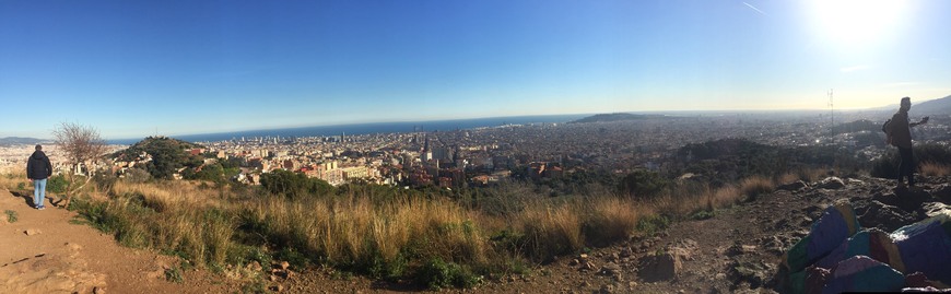 Lugar Parque Guell