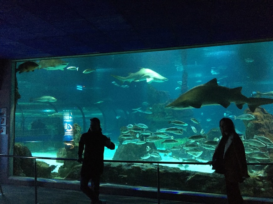 Lugar Aquarium de Barcelona