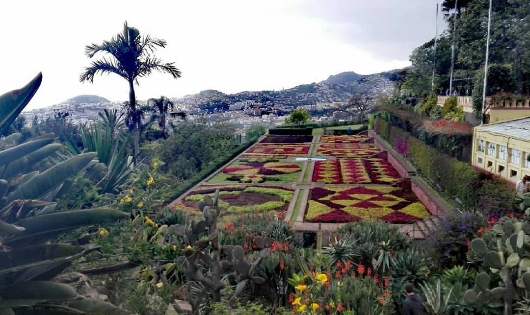 Lugar Travessa do Jardim Botânico