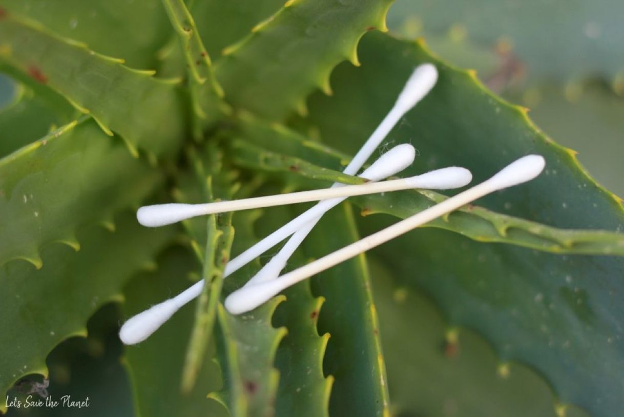 Product Cotonetes bastão cartão 