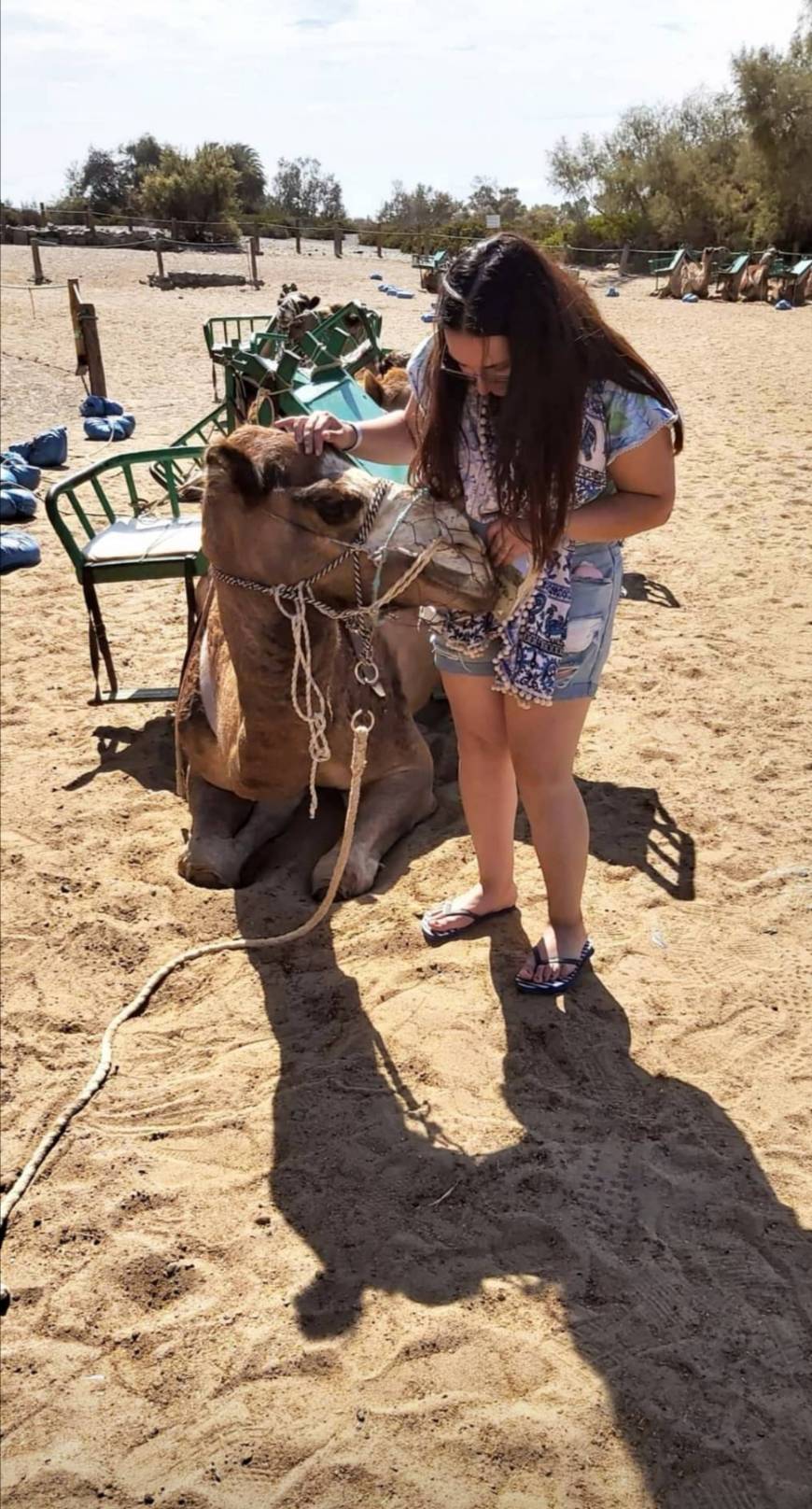 Place Camel Safari Park