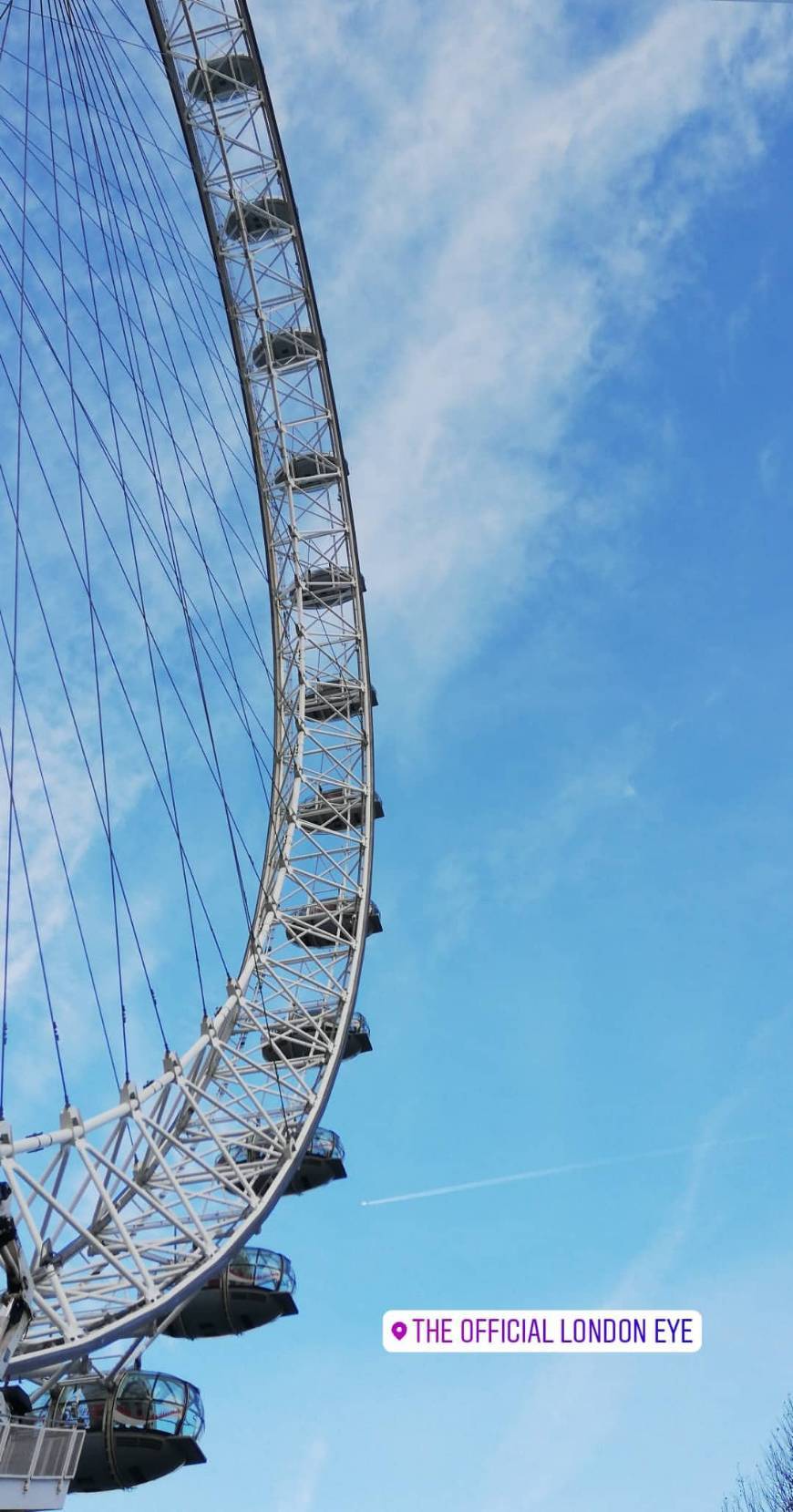 Place London Eye