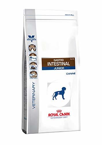 Lugares Royal Canin GIJ29