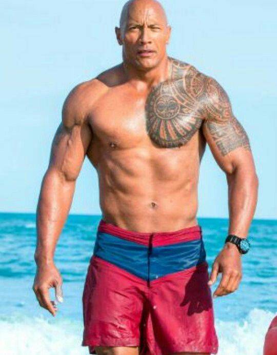 Moda The Rock