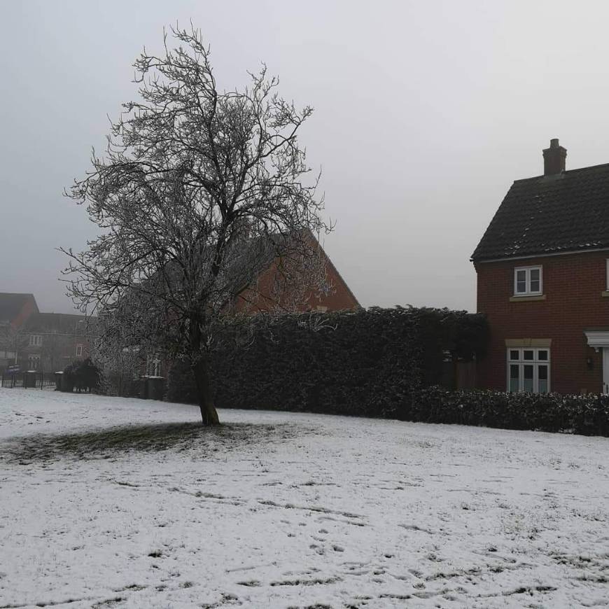 Watton