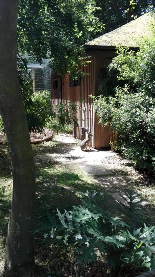 Amazona Zoo