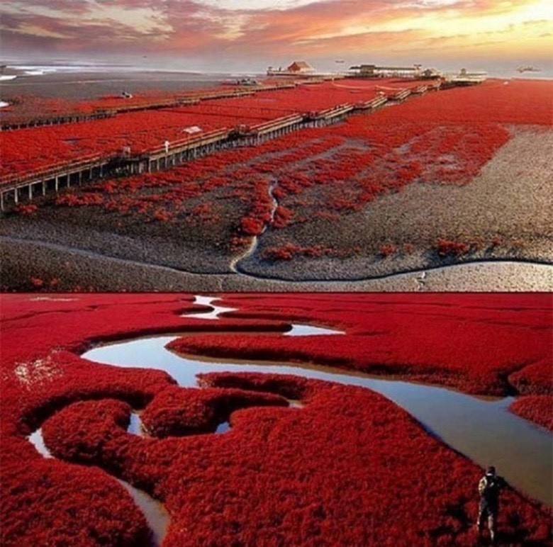 Places Red Beach