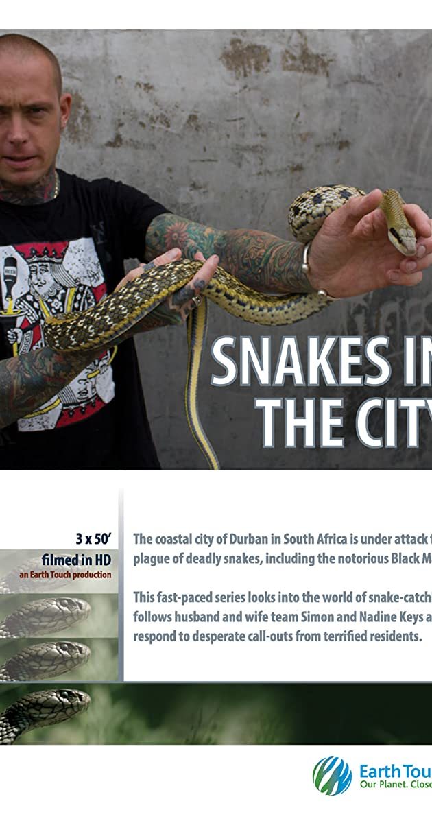 Serie Snake City