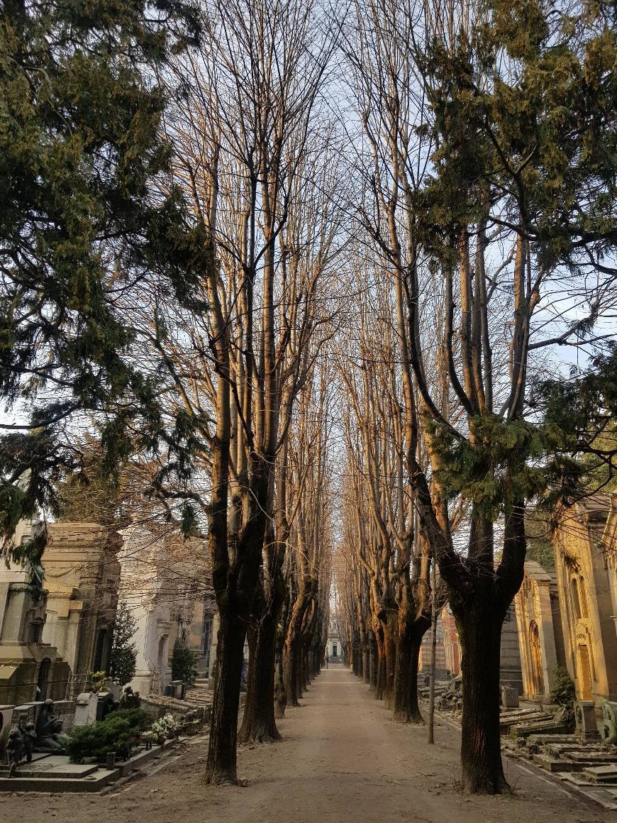 Lugar Cimitero Monumentale