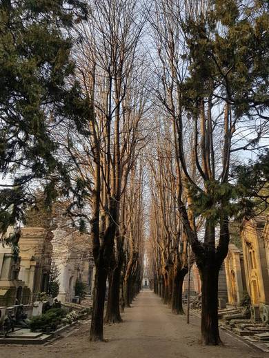 Cimitero Monumentale