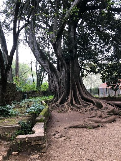 Jardins da Quinta das Lágrimas