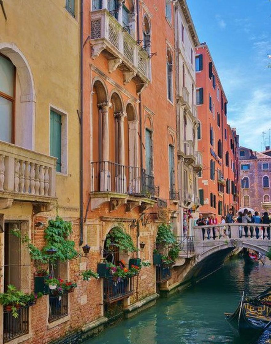 Moda Veneza,Itália🇮🇹