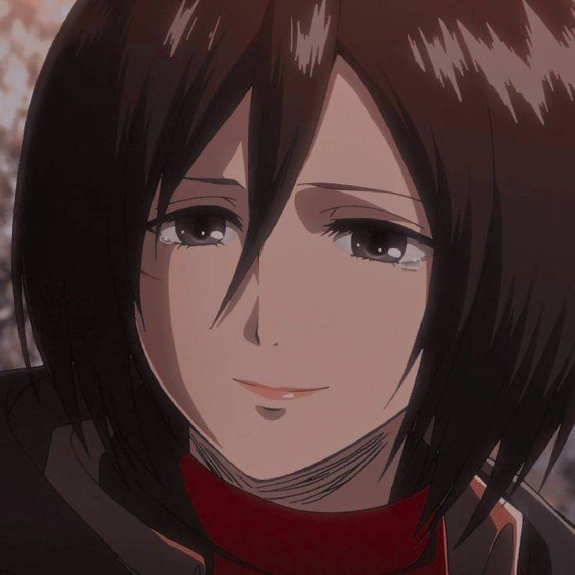 Moda Top n°2 -  Mikasa Ackerman 