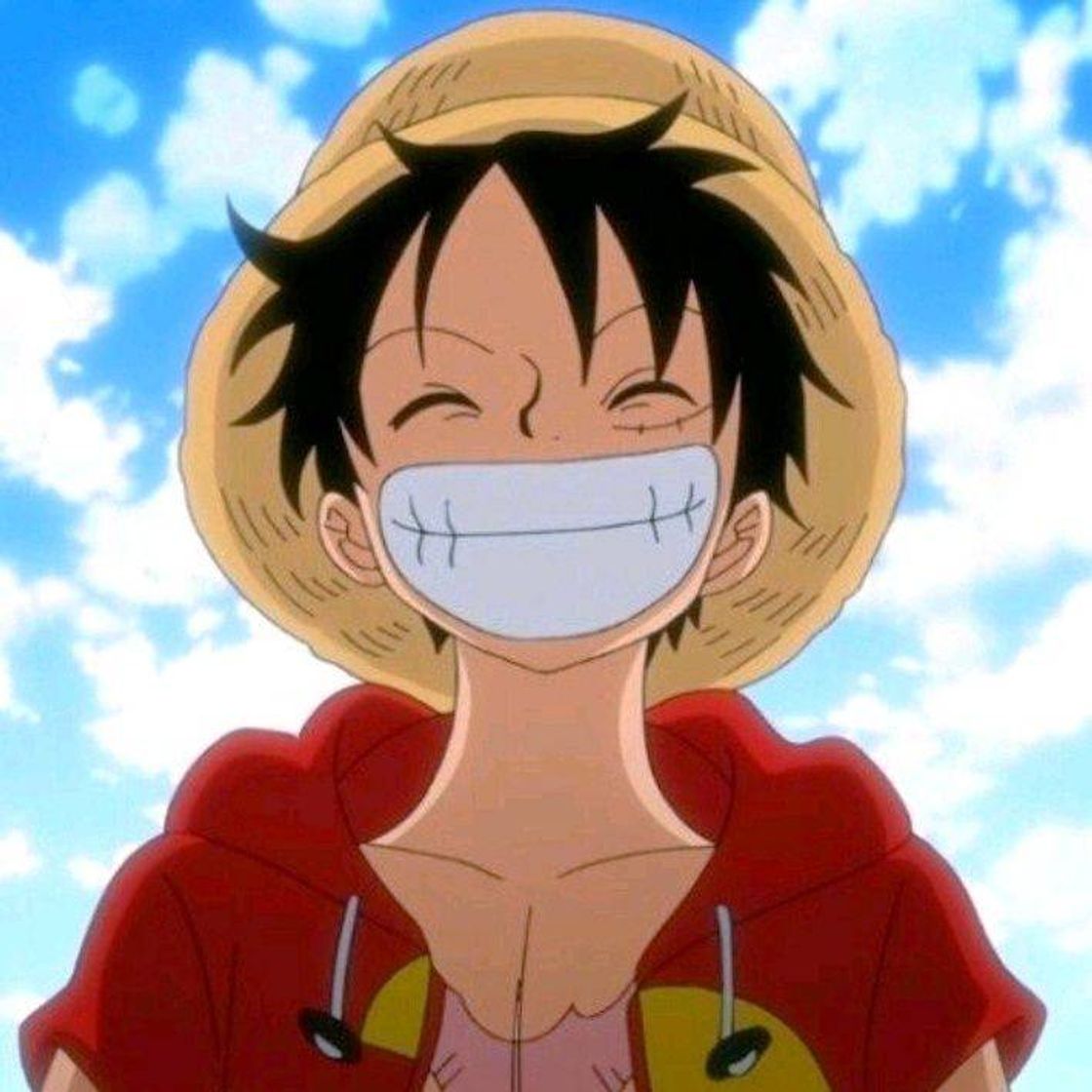 Fashion Top n°3 - Monkey D. Luffy