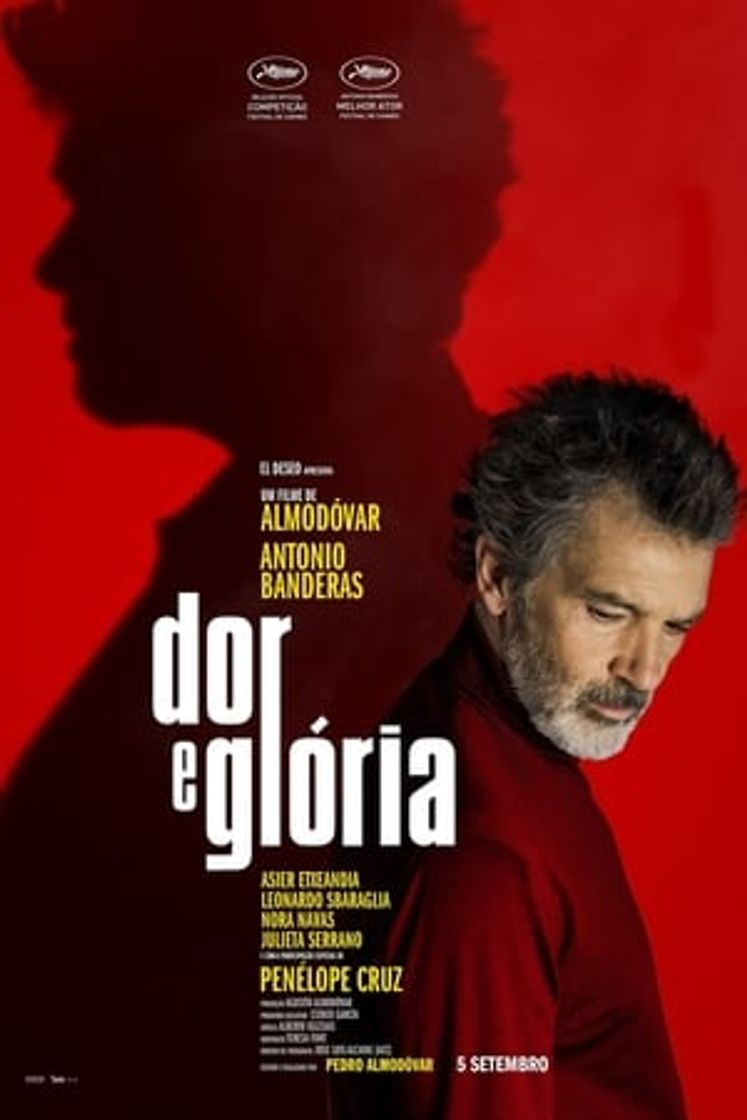 Película Dolor y gloria