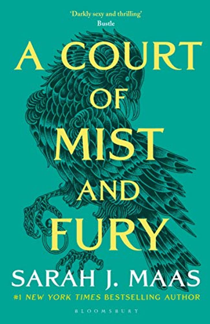 Libro A Court Of Mist And Fury