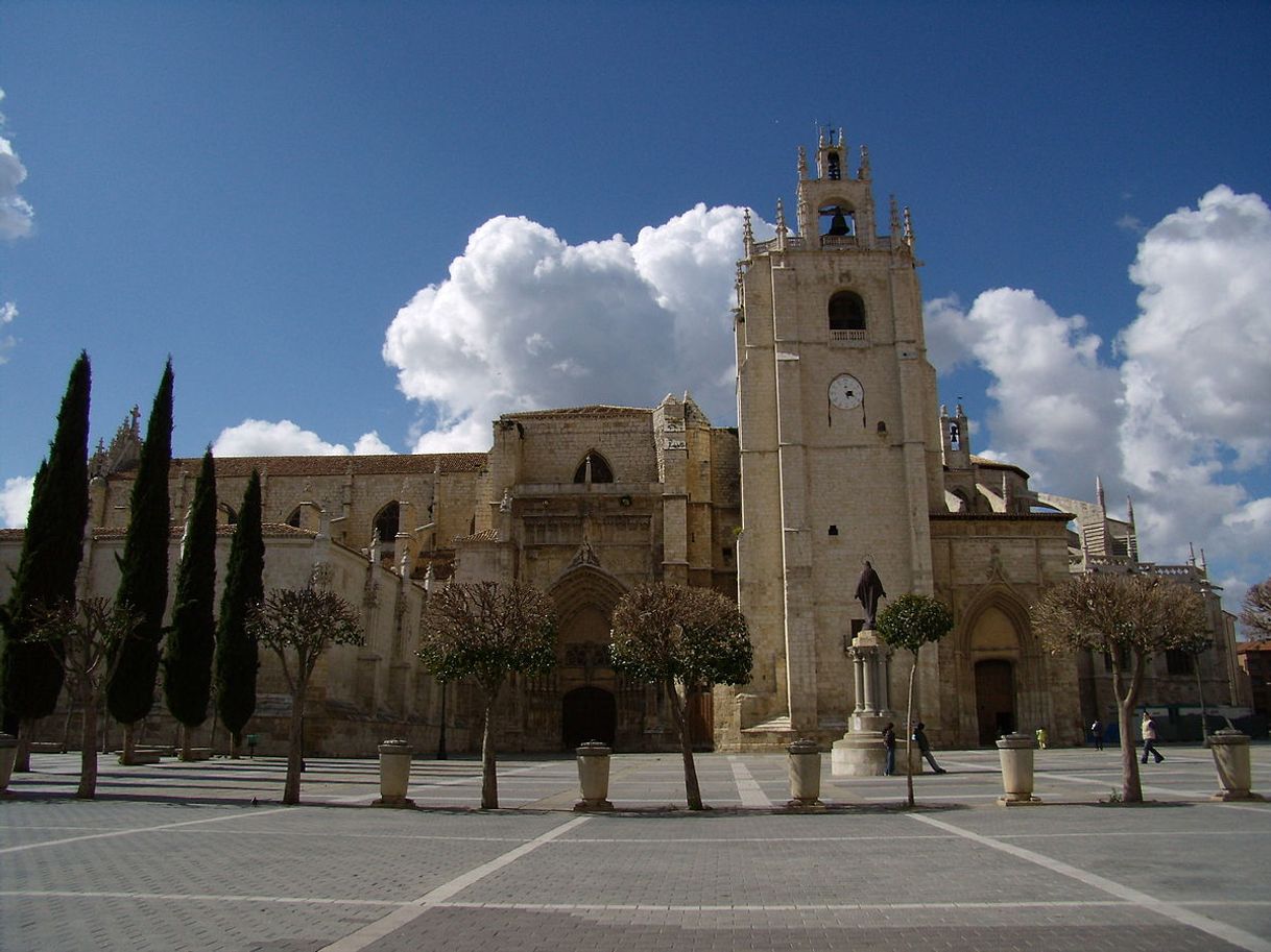 Place Catedral de Palência