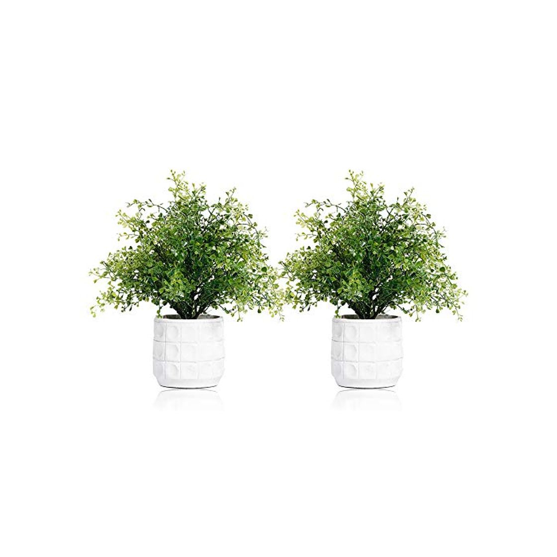 Producto Set di 2 Mini Piante di Erba Artificiale in Vaso Con Vasi di Cemento Piccole Piante D'appartamento Fioriera Finta Verde Plastica Finta Interni Bonsai Casa Cucina Ufficio Scrivania Decorazioni