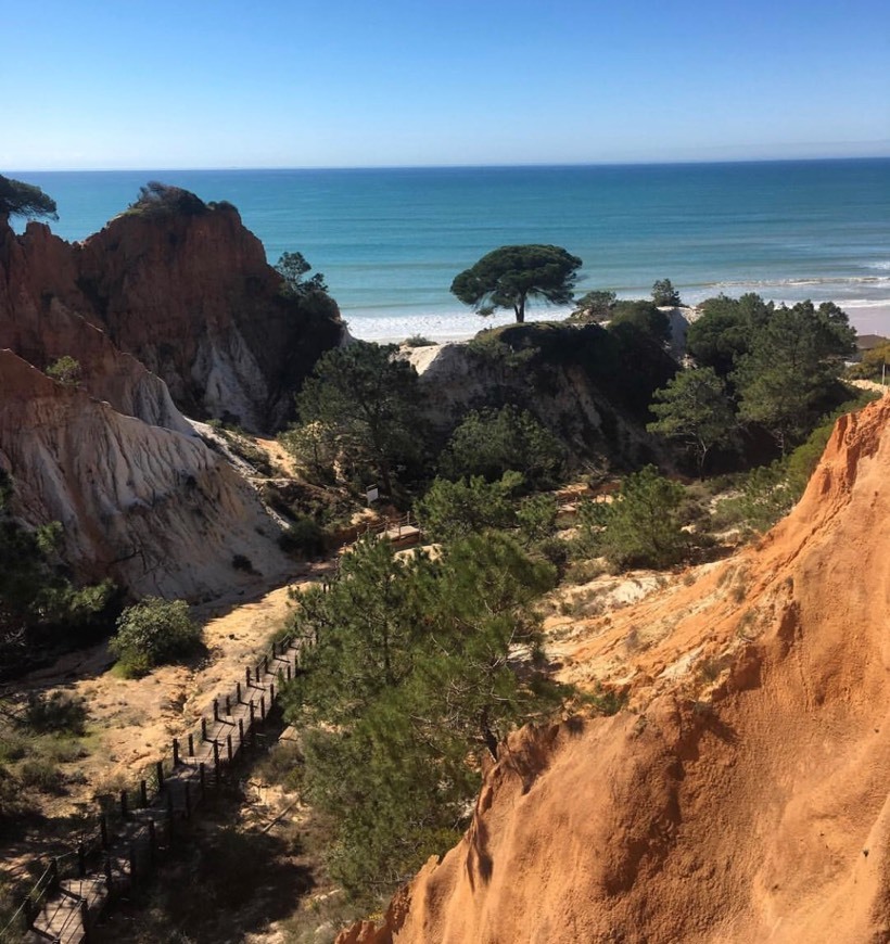 Lugar Praia da Falésia