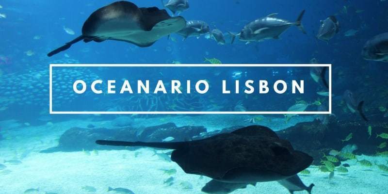 Lugar Oceanário de Lisboa