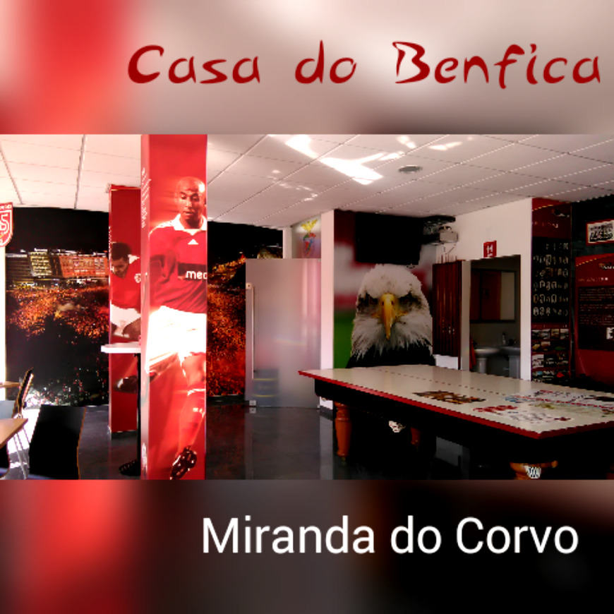 Restaurants Casa Do Benfica Miranda Do Corvo