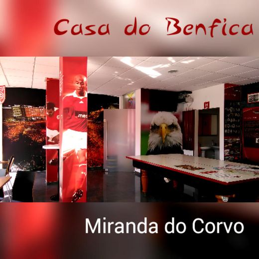 Casa Do Benfica Miranda Do Corvo