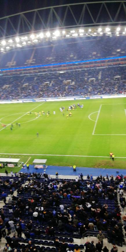 Place Estádio do Dragão