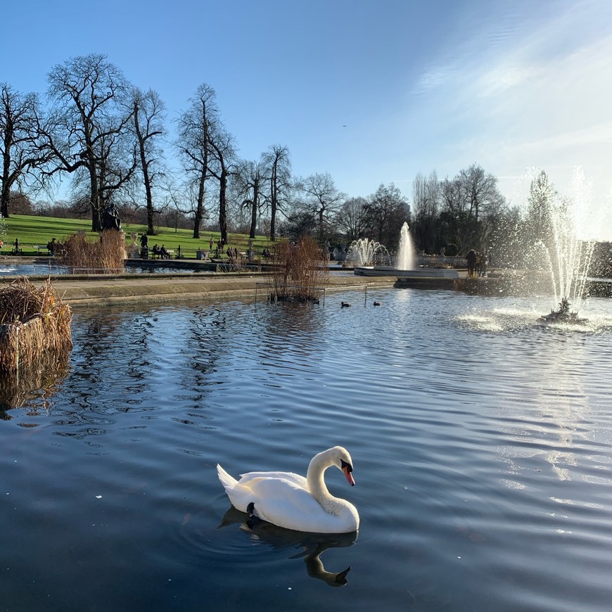 Places Jardins de Kensington 