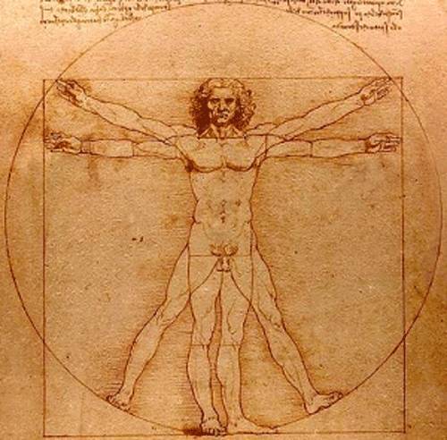 Moda Homem Vitruviano - Leonardo Da Vinci