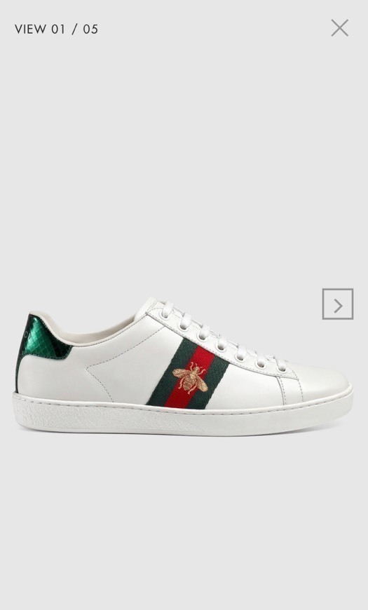 Social Ténis Gucci 