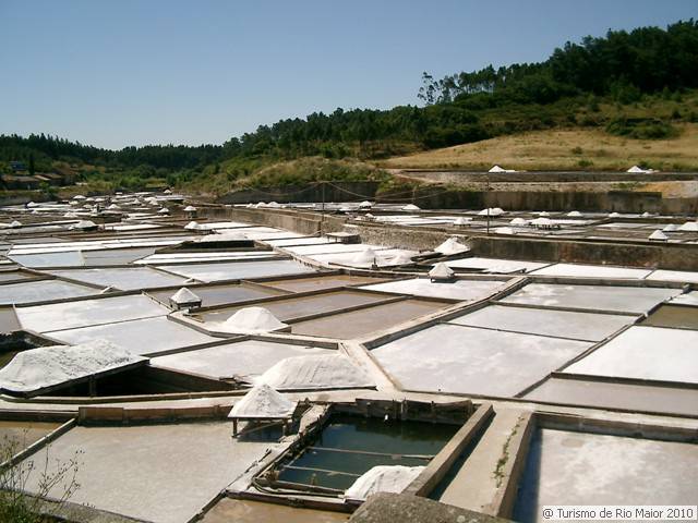 Moda Salinas